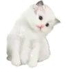 🐱 Эмодзи «💗 Random - рандомные эмодзи» для Telegram