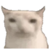 🐱 Эмодзи «🐱 Random emoji pack» для Telegram
