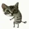 🐱 Эмодзи «🐱 Random emoji pack» для Telegram
