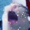 🐈 Эмодзи «Randomoji -» для Telegram
