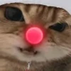 😾 Эмодзи «Randomoji -» для Telegram