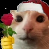 🐈 Эмодзи «Randomoji -» для Telegram