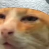🫠 Эмодзи «Randomoji -» для Telegram