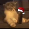 👃 Эмодзи «Randomoji -» для Telegram