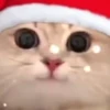 🥹 Эмодзи «Randomoji -» для Telegram