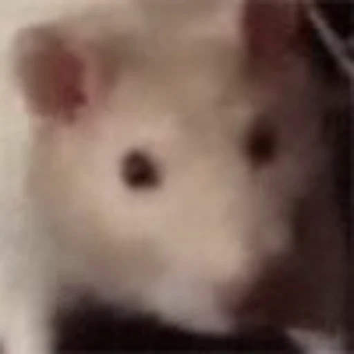 🐭 Эмодзи «EMOTES COLLECTION» для Telegram