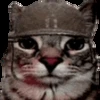 🐱 Эмодзи «EMOTES COLLECTION» для Telegram