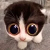 😳 Эмодзи «🎃 Анимированные рандом эмодзи» для Telegram