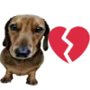 🐕 Эмодзи «🎃 Анимированные рандом эмодзи» для Telegram