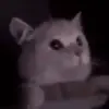 🙀 Эмодзи «🎃 Анимированные рандом эмодзи» для Telegram