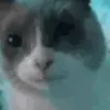 🐱 Эмодзи «🎃 Анимированные рандом эмодзи» для Telegram