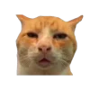 🐈‍⬛ Эмодзи «🎃 Анимированные рандом эмодзи» для Telegram