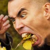 🍔 Эмодзи «2rbina 2rista» для Telegram