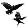 🐦‍⬛ Эмодзи «Raven» для Telegram