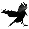 🐦‍⬛ Эмодзи «Raven» для Telegram