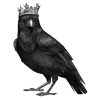 🐦‍⬛ Эмодзи «Raven» для Telegram