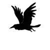 🐦‍⬛ Эмодзи «Raven» для Telegram