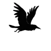 🐦‍⬛ Эмодзи «Raven» для Telegram