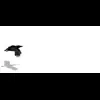 🐦‍⬛ Эмодзи «Raven» для Telegram