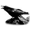 🐦‍⬛ Эмодзи «Raven» для Telegram