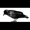 🐦‍⬛ Эмодзи «Raven» для Telegram