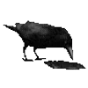 🐦‍⬛ Эмодзи «Raven» для Telegram