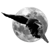 🐦‍⬛ Эмодзи «Raven» для Telegram