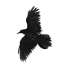 🐦‍⬛ Эмодзи «Raven» для Telegram