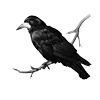 🐦‍⬛ Эмодзи «Raven» для Telegram