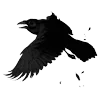 🐦‍⬛ Эмодзи «Raven» для Telegram