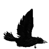 🐦‍⬛ Эмодзи «Raven» для Telegram