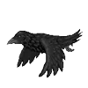 🐦‍⬛ Эмодзи «Raven» для Telegram