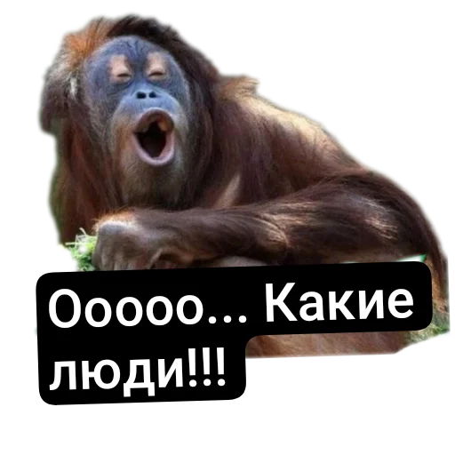 👏 Стикер «Разное19» для Telegram