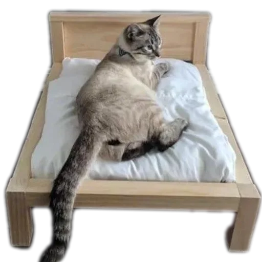 🛌 Стикер «Разное19» для Telegram