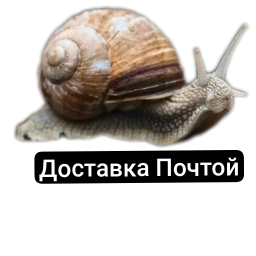📦 Стикер «Разное19» для Telegram