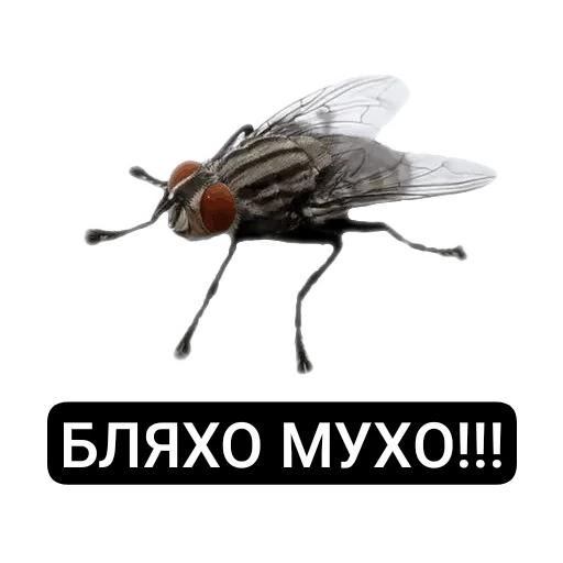 😳 Стикер «Разное19» для Telegram