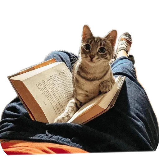 📖 Стикер «Разное9» для Telegram