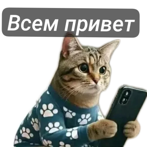 ✋ Стикер «Разное9» для Telegram