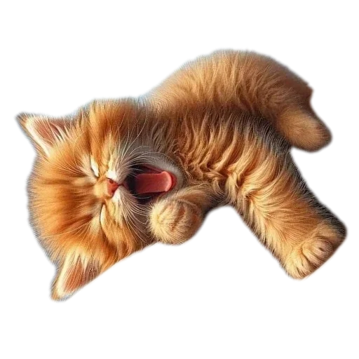 🥱 Стикер «Разное9» для Telegram