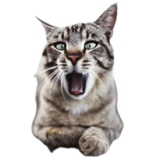 😜 Стикер «Разное9» для Telegram