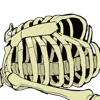 💀 Эмодзи «Death» для Telegram