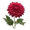 🌺 Эмодзи «Vibe» для Telegram
