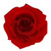 💋 Эмодзи «Red Pack» для Telegram
