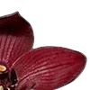 🥀 Эмодзи «Red Flowers» для Telegram