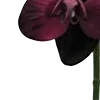 🥀 Эмодзи «Red Flowers» для Telegram