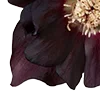 🥀 Эмодзи «Red Flowers» для Telegram