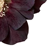 🥀 Эмодзи «Red Flowers» для Telegram