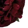 🥀 Эмодзи «Red Flowers» для Telegram