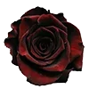 🥀 Эмодзи «Red Flowers» для Telegram
