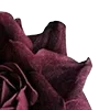 🥀 Эмодзи «Red Flowers» для Telegram
